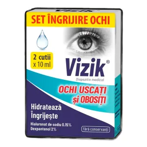 Vizik